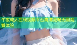 午夜成人在线视频平台高清流畅无限观看体验